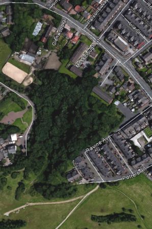 Former Glen Villa wooded ravine, thanks to Google Earth