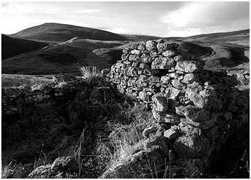 Late afternoon sunshine in glen Loth Photo by David Paterson Photography Late afternoon sunshine in glen Loth Photo by David Paterson Photography