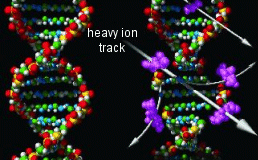 dna damage dna damage